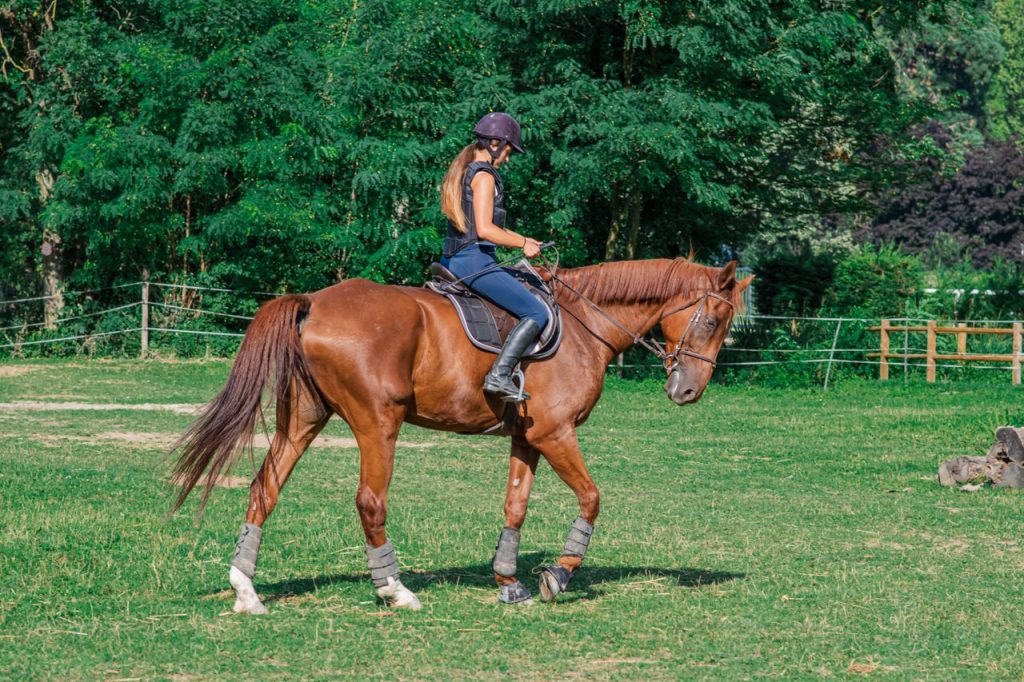 Passeggiata a cavallo immersa nella natura a Casalbordino
